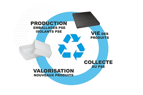Knauf Circular, recyclage et valorisation des déchets de polystyrène expansé PSE