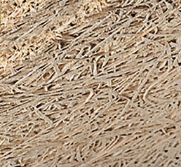 Texture laine de bois de la gamme Fibralith