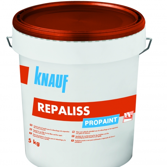 Knauf Propaint Repaliss – Rebouchage – Knauf